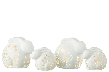 Konijnenbloemen Led Glas Wit Groot Assortiment Van 2