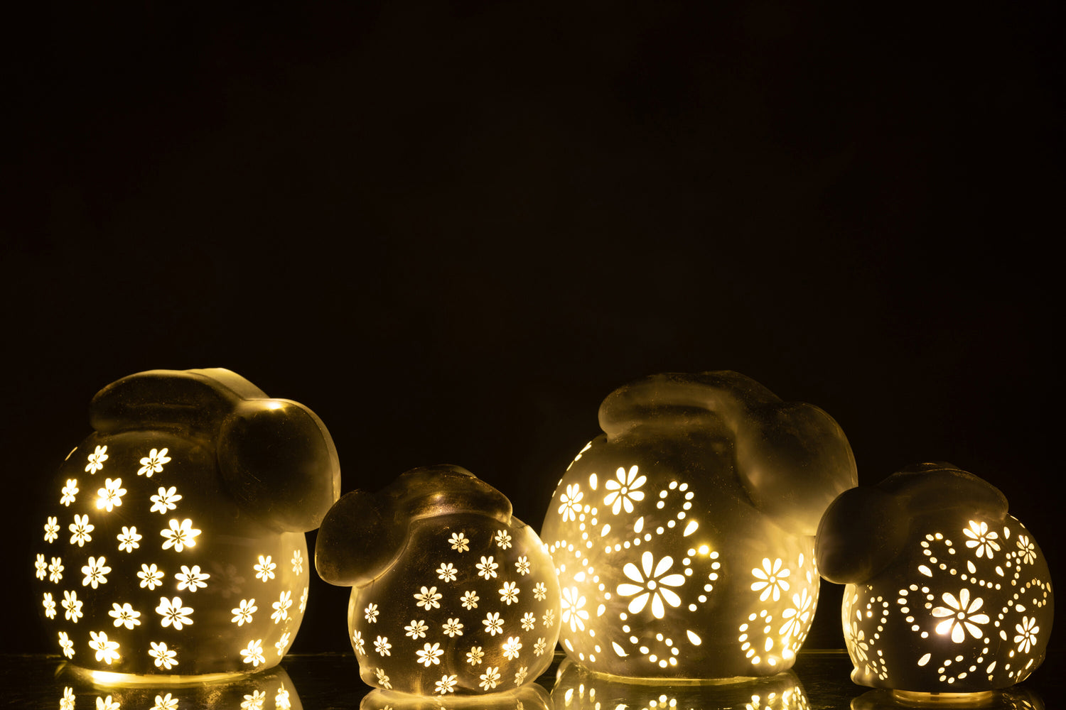 Konijnenbloemen Led Glas Wit Groot Assortiment Van 2