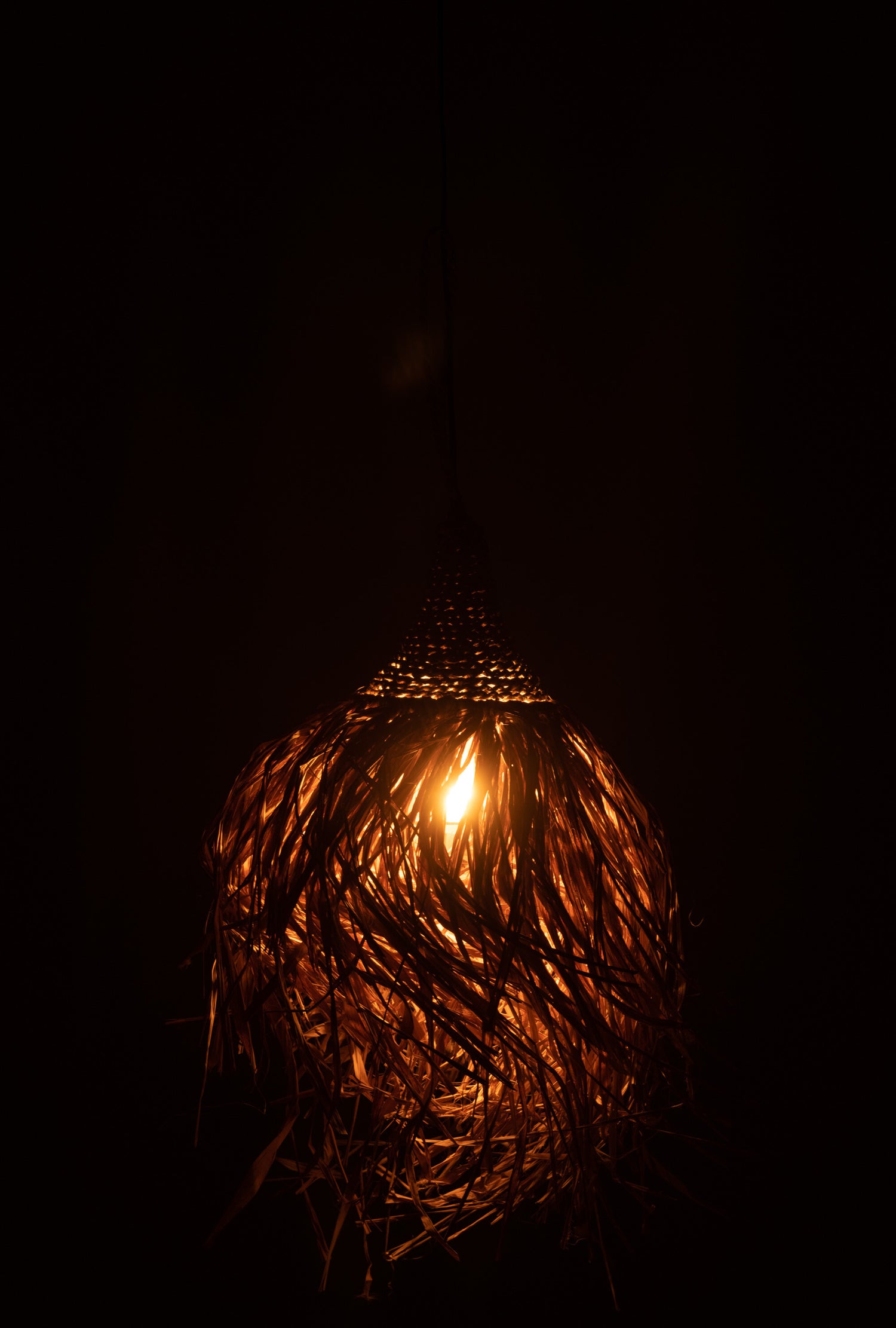 J-Line Hangende Lamp Kwast Zeegras Naturel
