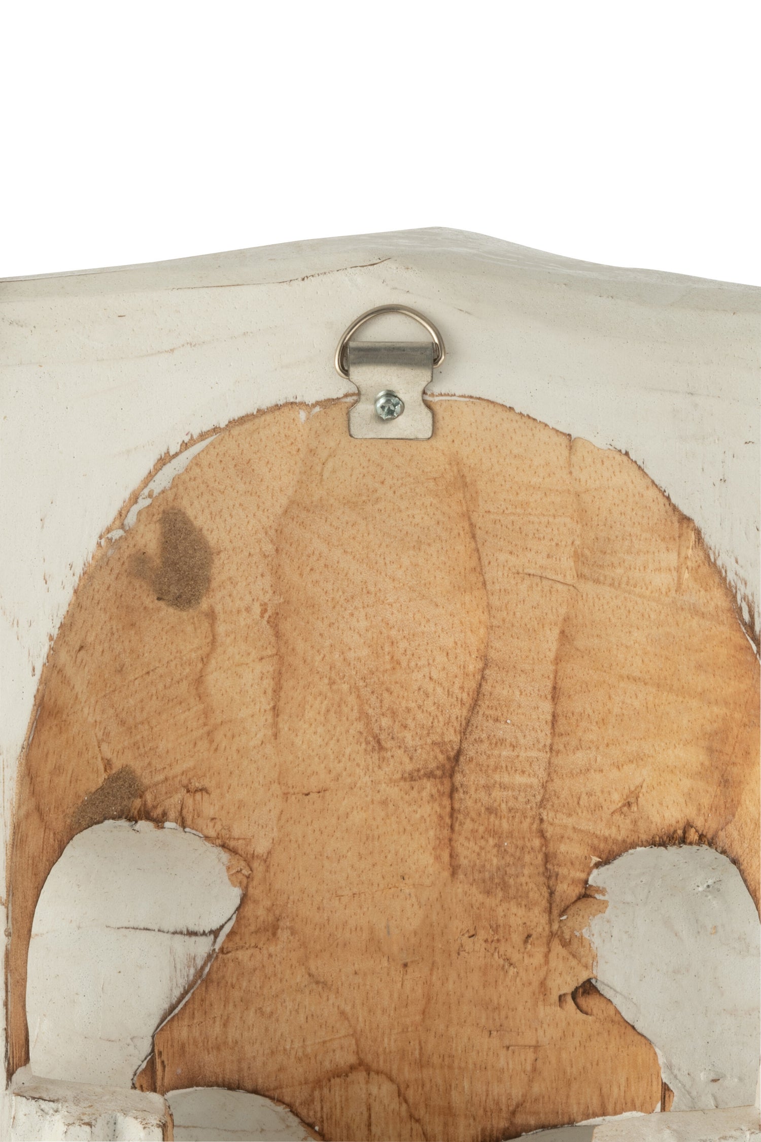 Schedel Koe Albasia Hout Wit