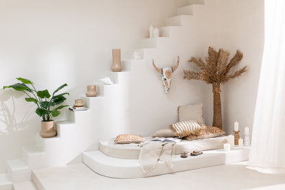 Schedel Koe Albasia Hout Wit