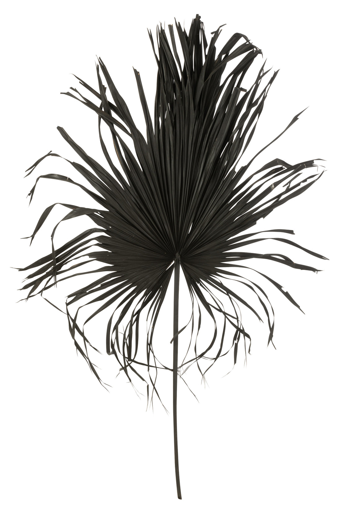 Palmblad Deco Palmboom Zwart