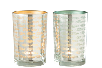 Hurricane Fish Glass Beige/Blauw Groot Assortiment Van 2