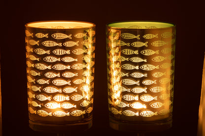 Hurricane Fish Glass Beige/Blauw Groot Assortiment Van 2