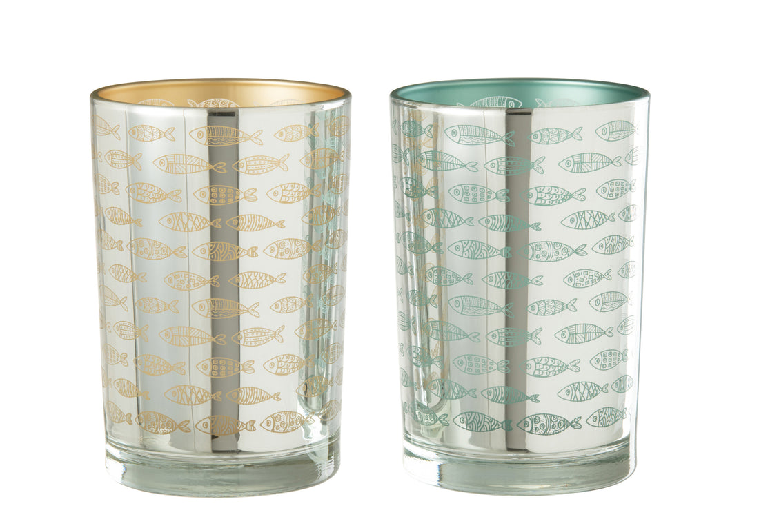 Hurricane Fish Glass Beige/Blauw Groot Assortiment Van 2