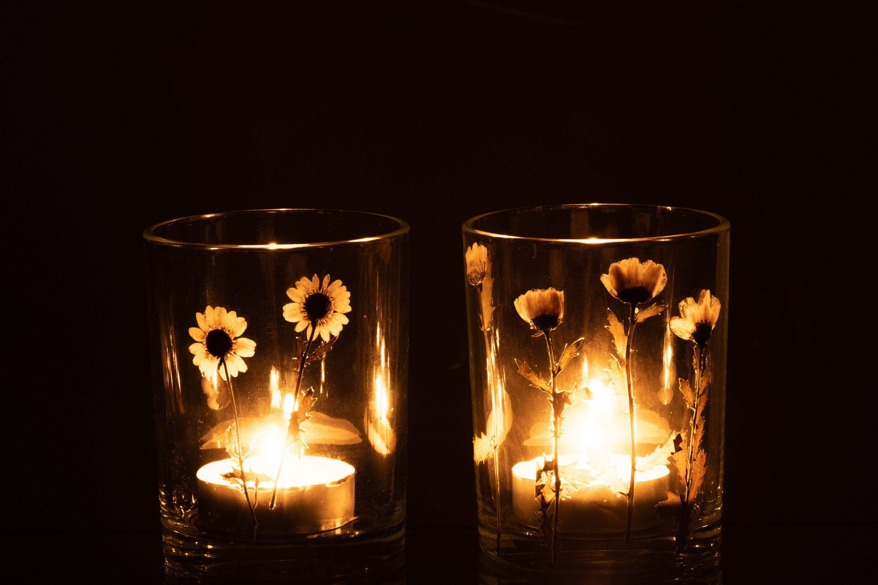 Orkaan Bloem Madeliefje Glas Mix Assortiment Van 2