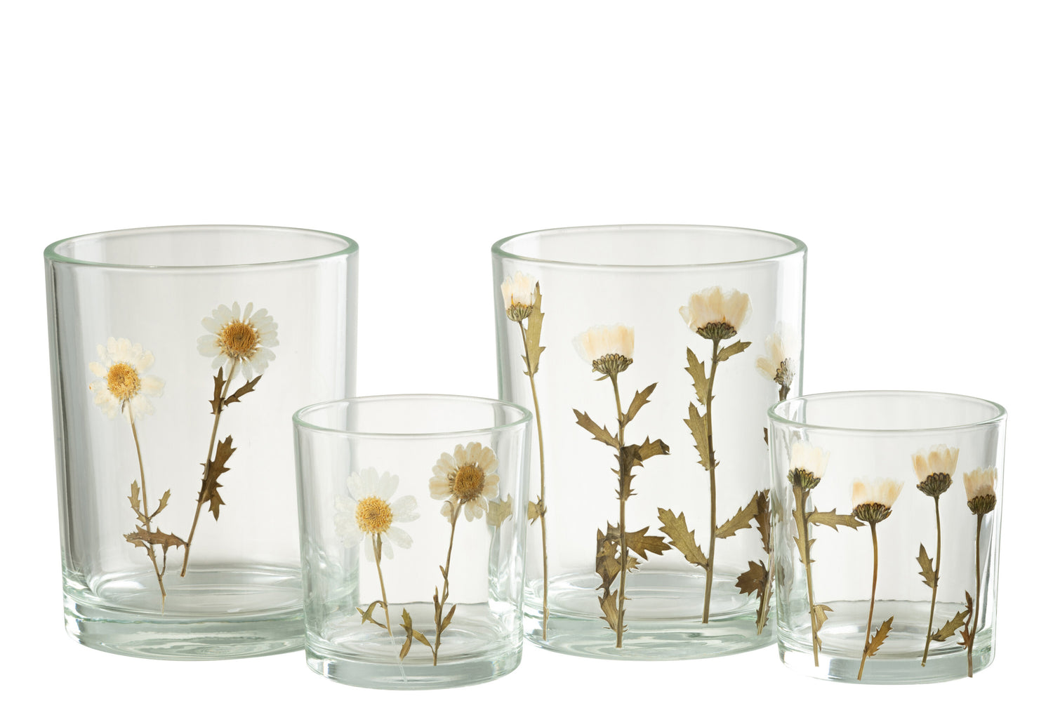 Orkaan Bloem Madeliefje Glas Mix Assortiment Van 2