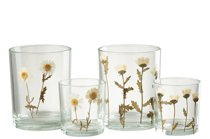 Orkaan Bloem Madeliefje Glas Mix Assortiment Van 2