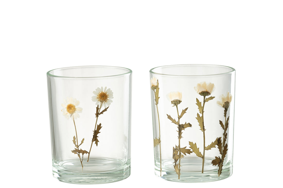 Orkaan Bloem Madeliefje Glas Mix Assortiment Van 2