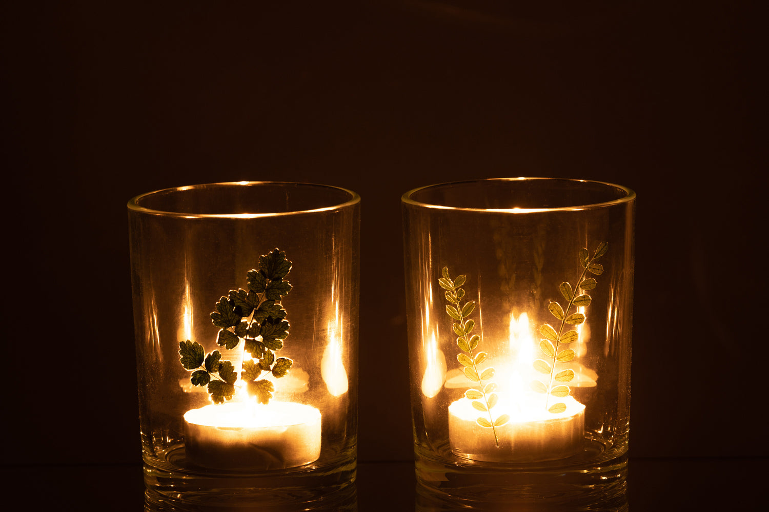 Orkaanbladglas Groen/Transparant Assortiment Van 2