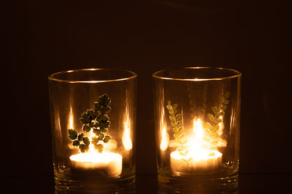 Orkaanbladglas Groen/Transparant Assortiment Van 2