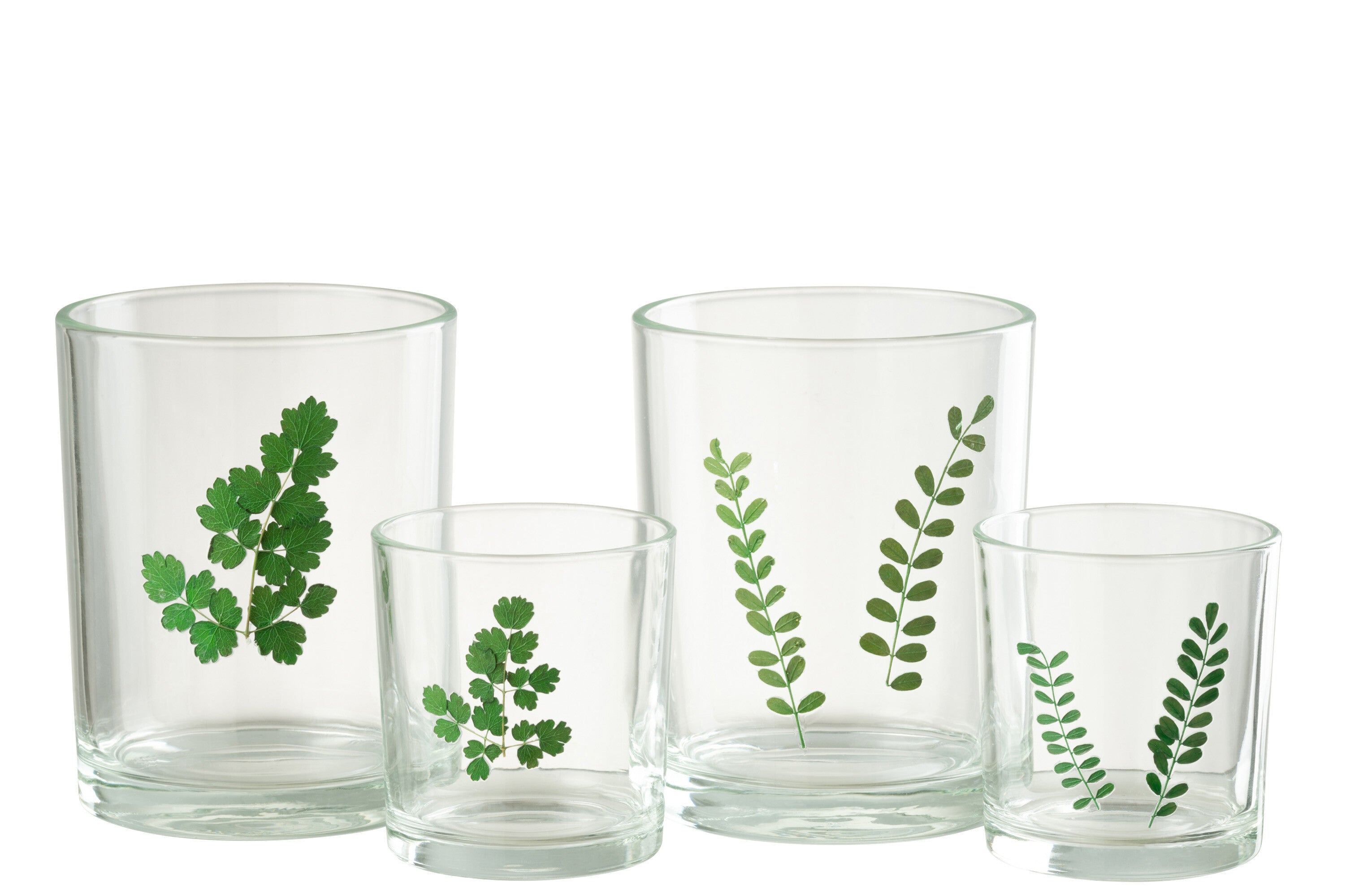 Orkaanbladglas Groen/Transparant Assortiment Van 2