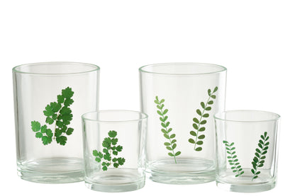Orkaanbladglas Groen/Transparant Assortiment Van 2