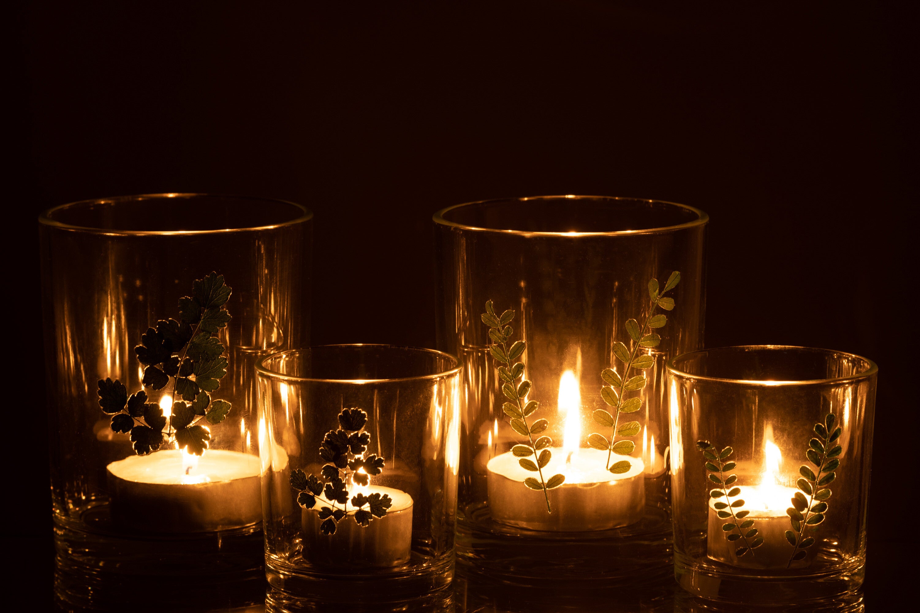 Orkaanbladglas Groen/Transparant Assortiment Van 2