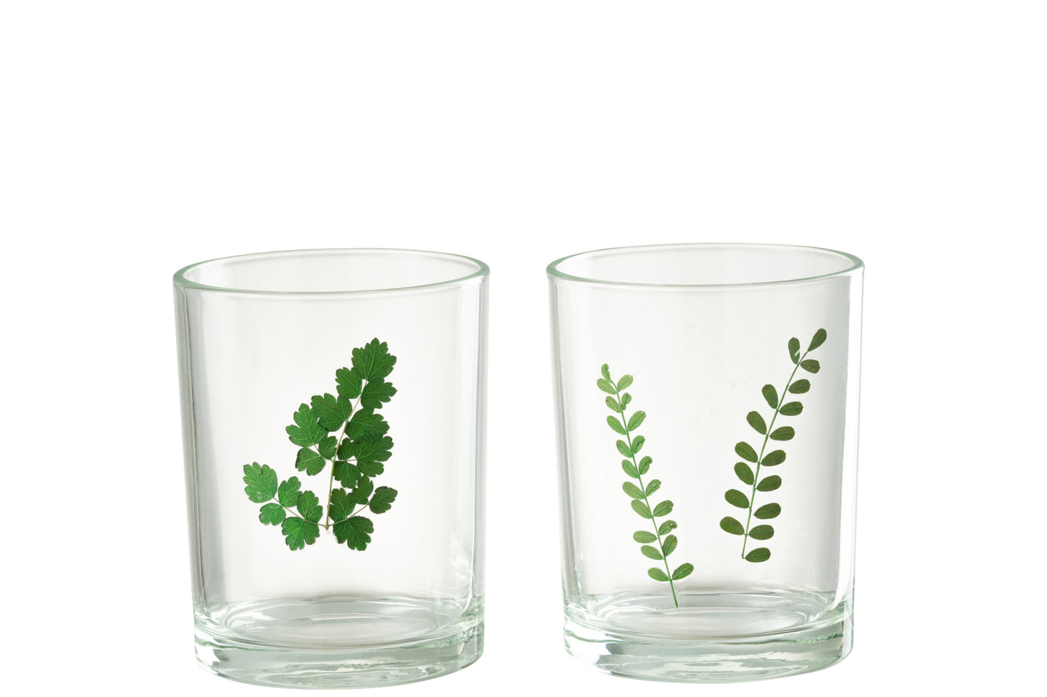 Orkaanbladglas Groen/Transparant Assortiment Van 2