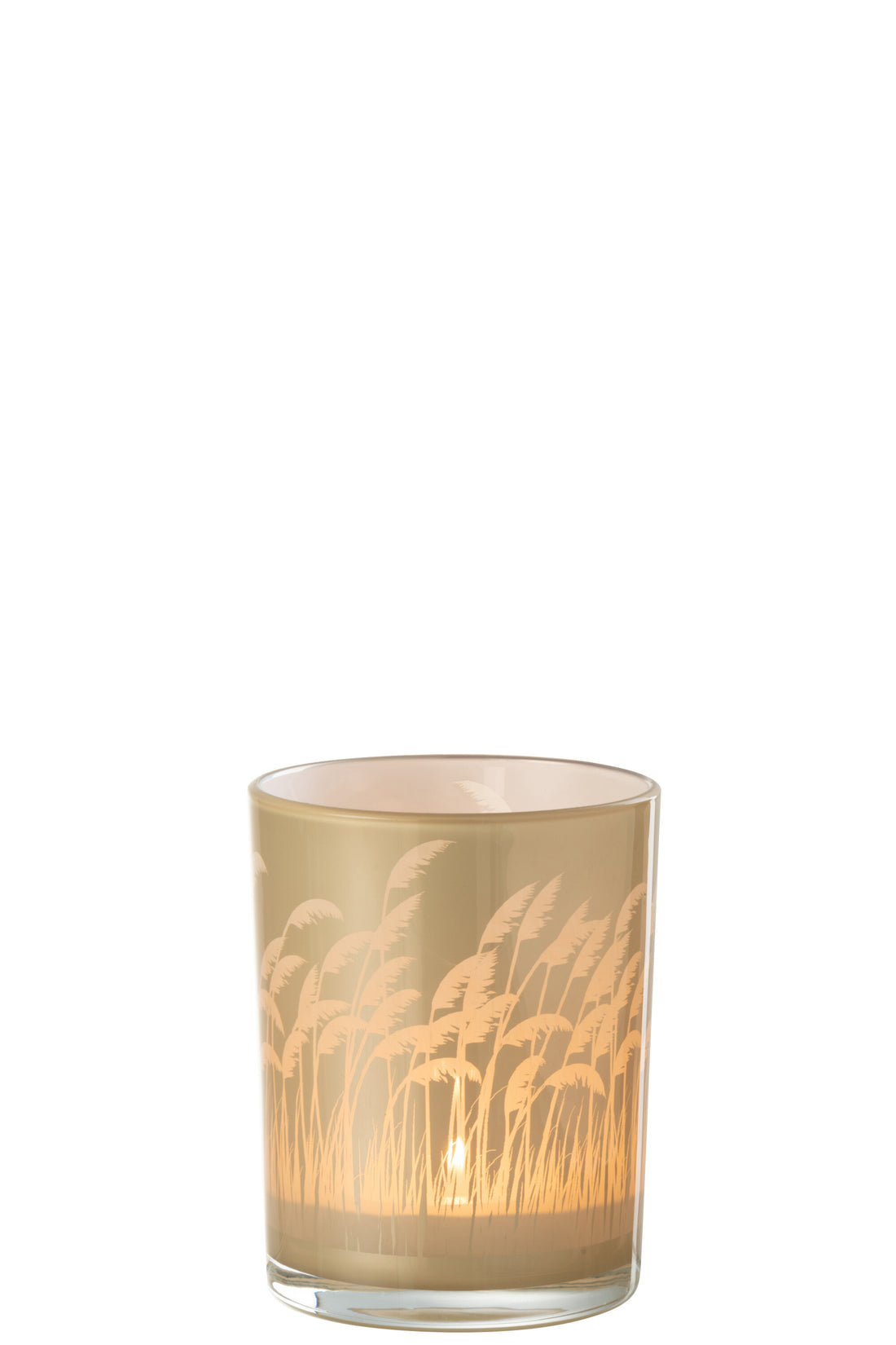 Orkaan Pampas Glas Beige/Wit Klein