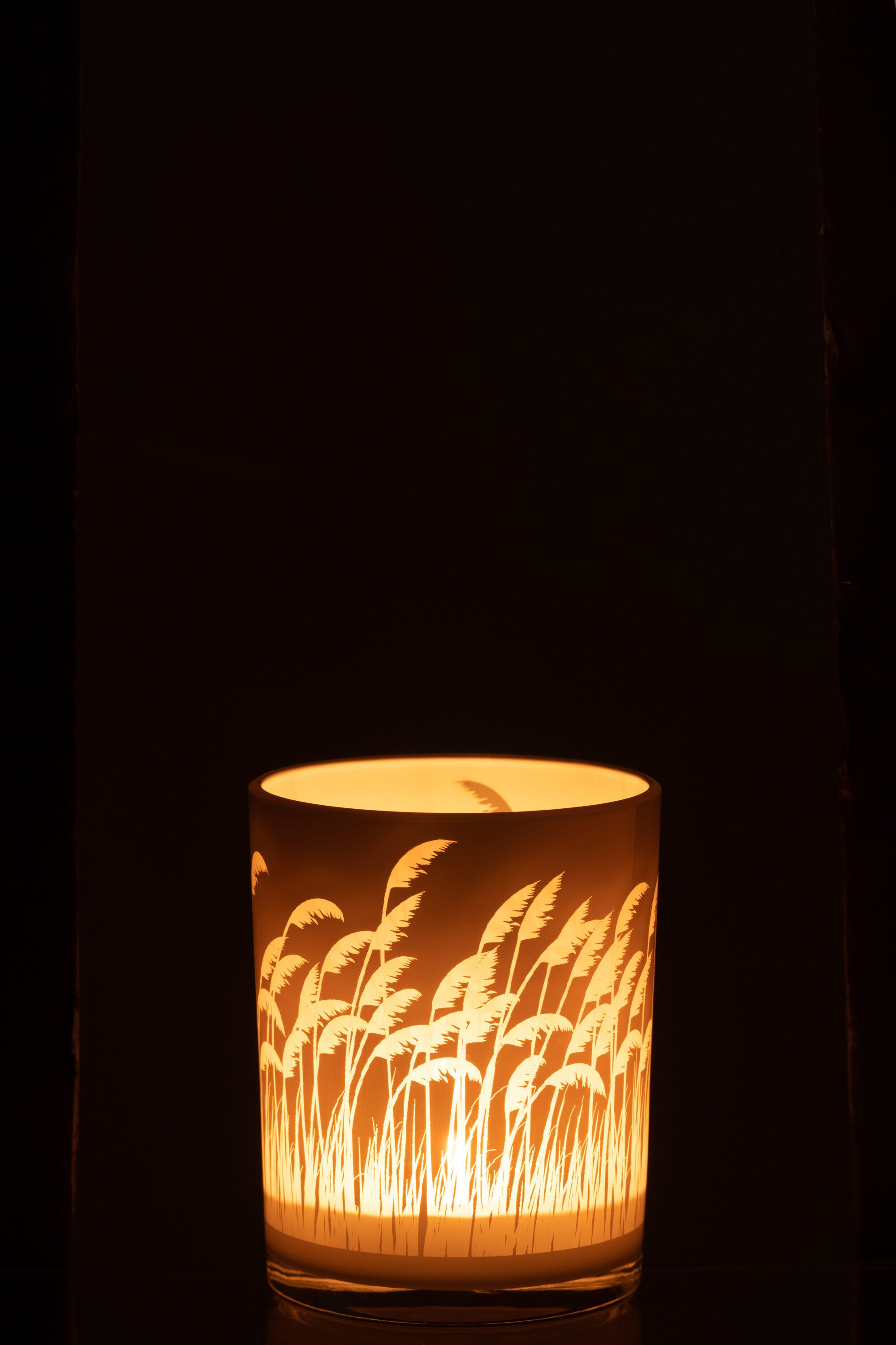 Orkaan Pampas Glas Beige/Wit Klein