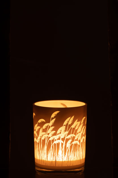 Orkaan Pampas Glas Beige/Wit Klein