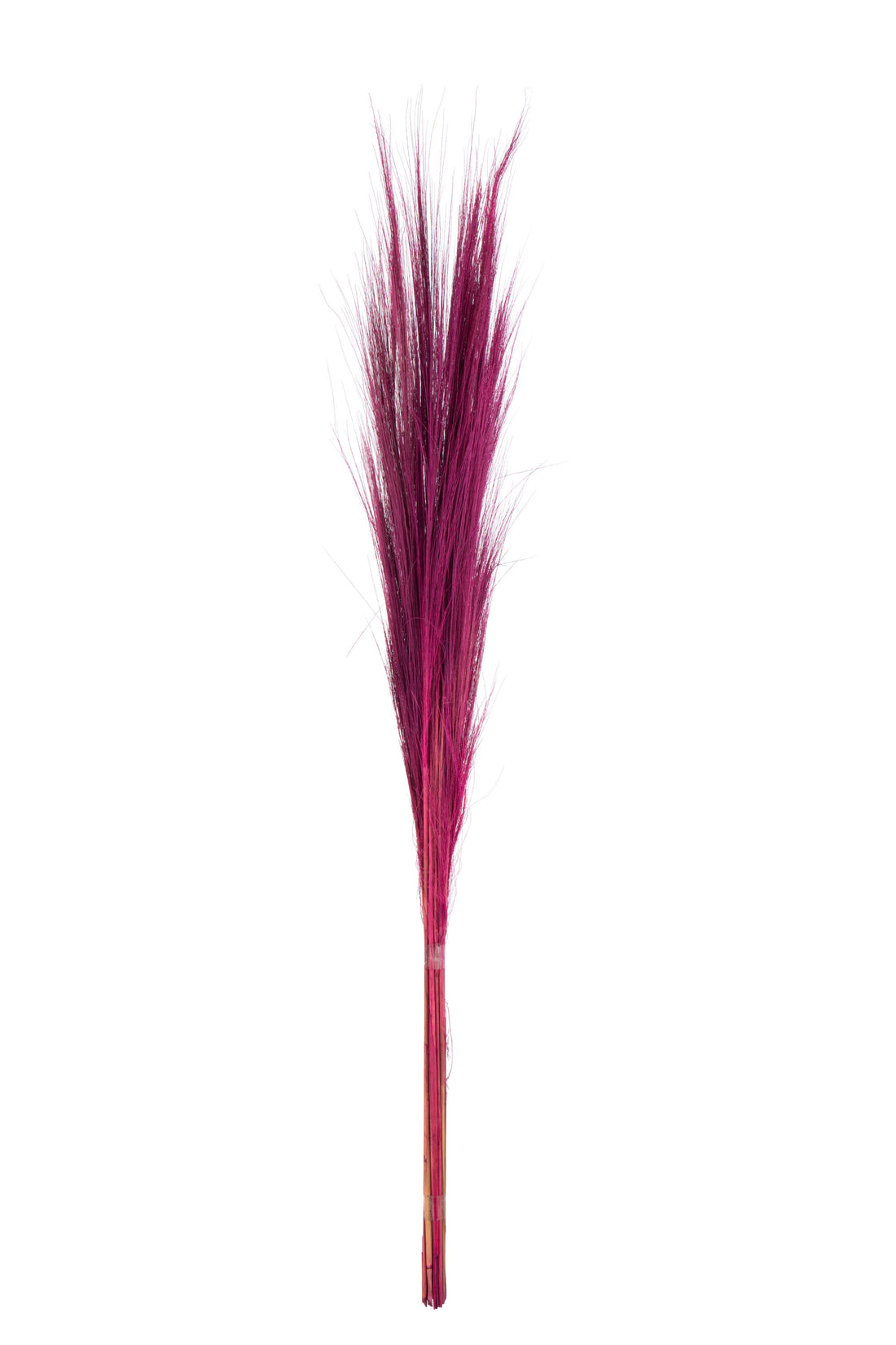 J-Line Bosje Van 15 Grassprieten Kleur Fuschia