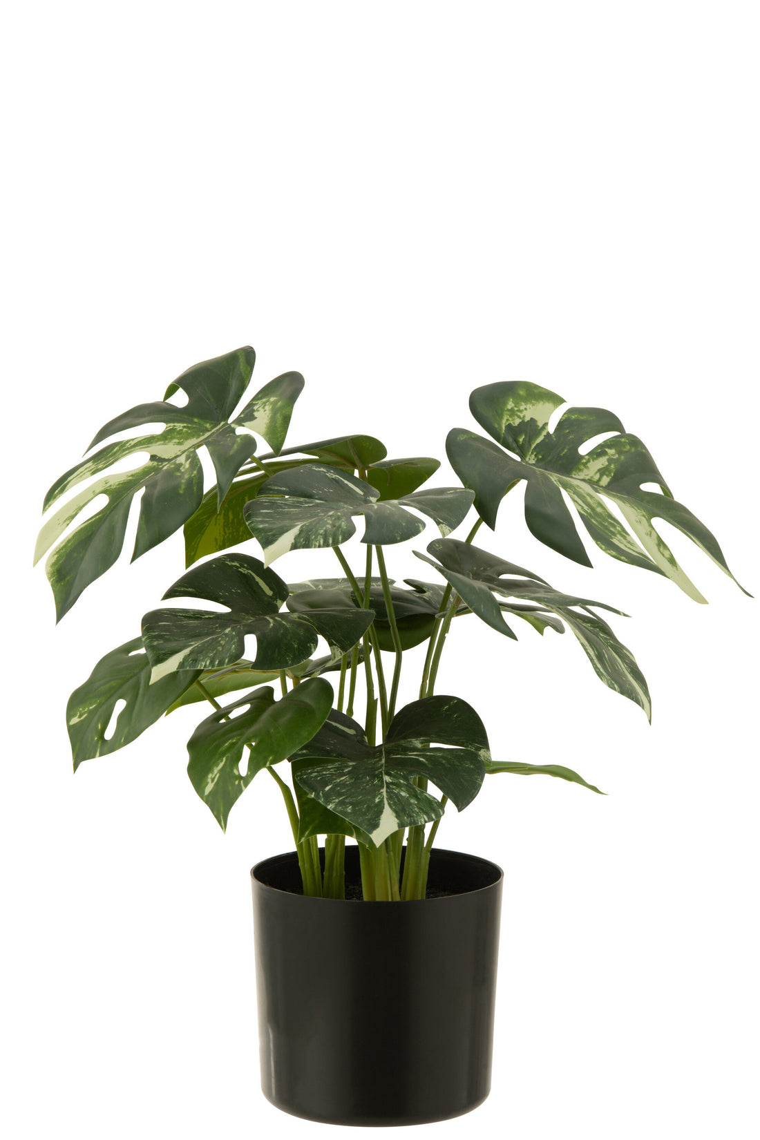 J-Line Monstera in pot - kunststof - groen