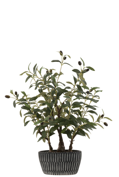 J-Line olijfboom in cement pot - kunststof - groen