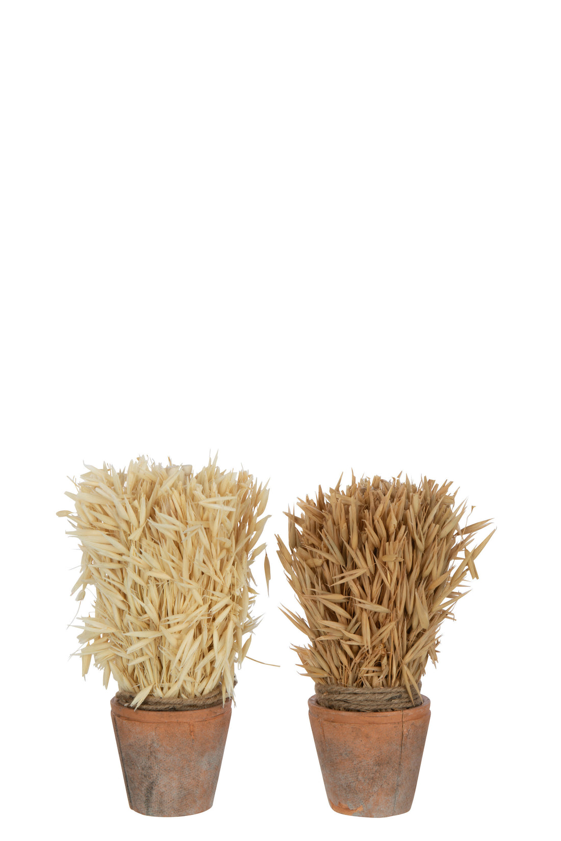 Oogst in terracotta pot natuurlijke assortiment van 2