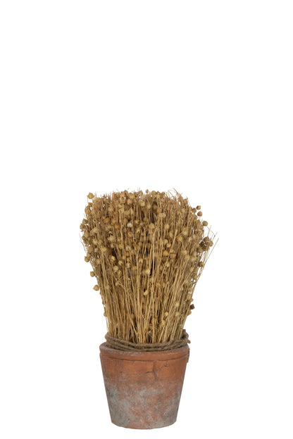 J-Line Gedroogd Vlas In Terracotta Pot Licht Naturel