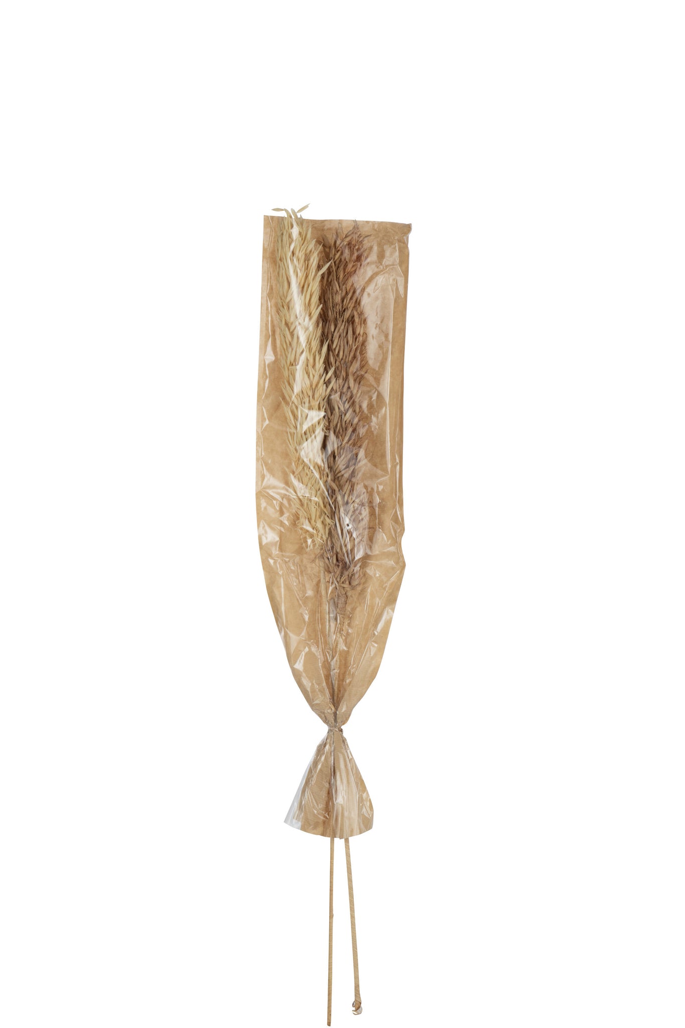 J-Line droogbloemen Oogst 2 Stukken - rotin/pluim - naturel
