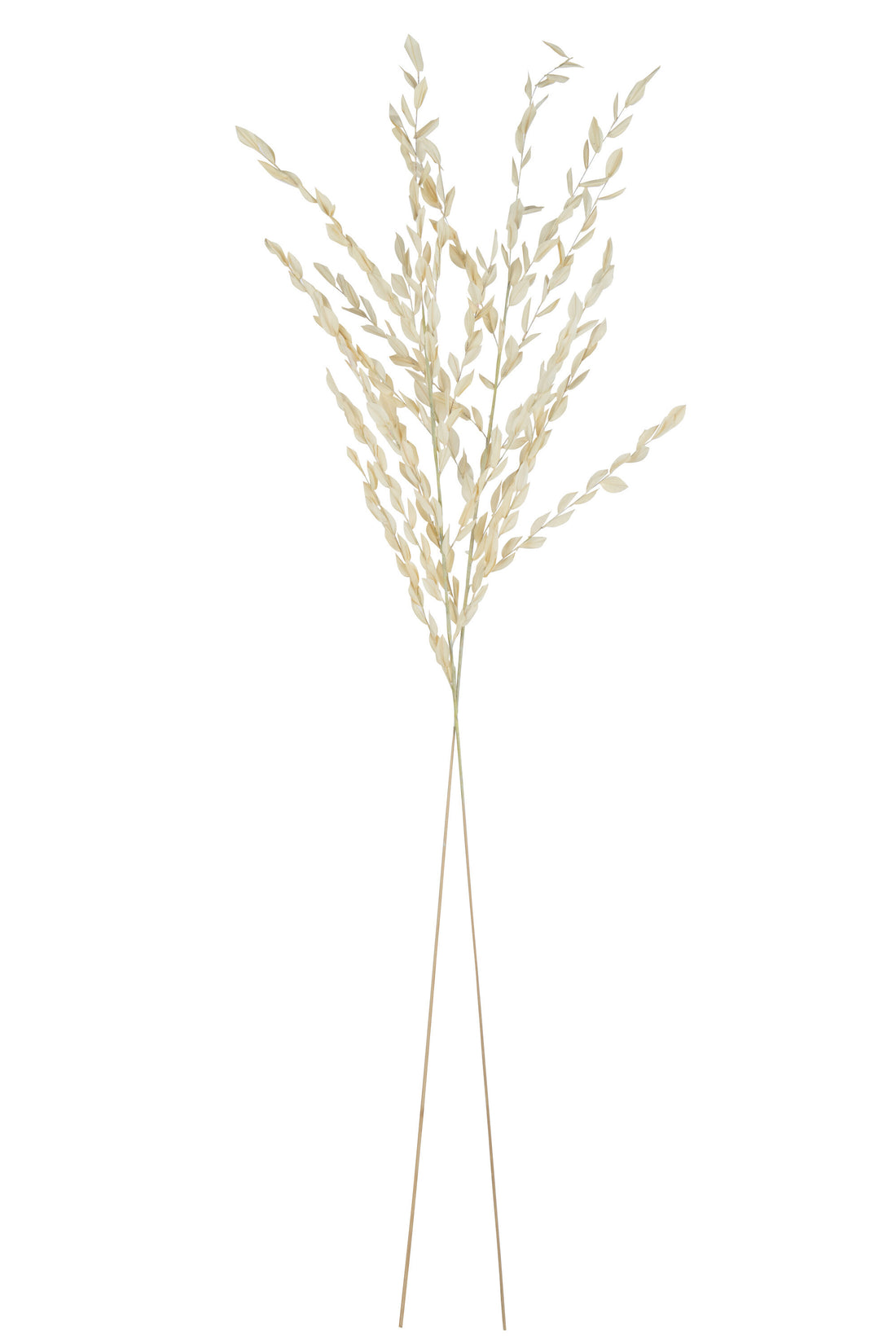 J-Line Gedroogde Bladeren Naturel Large