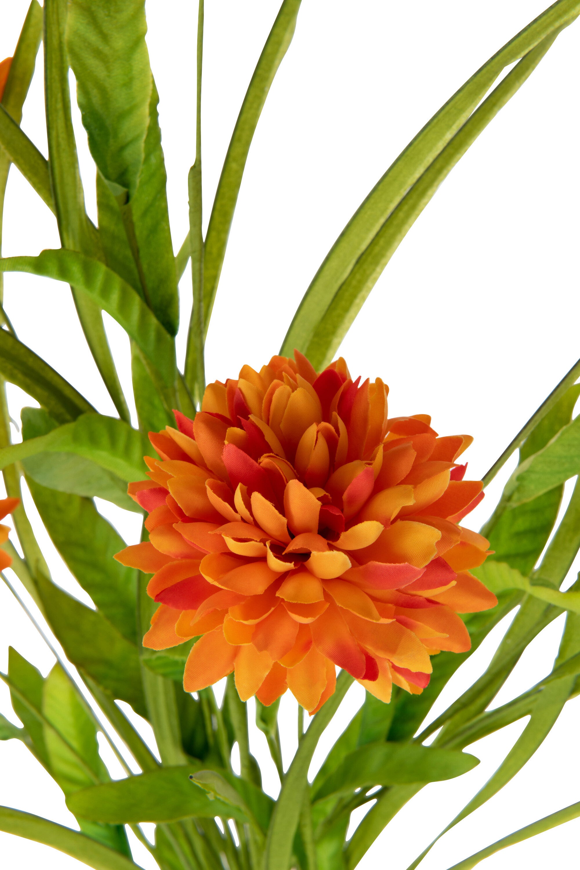 J-Line Tak Chrysantemum Kunststof Oranje