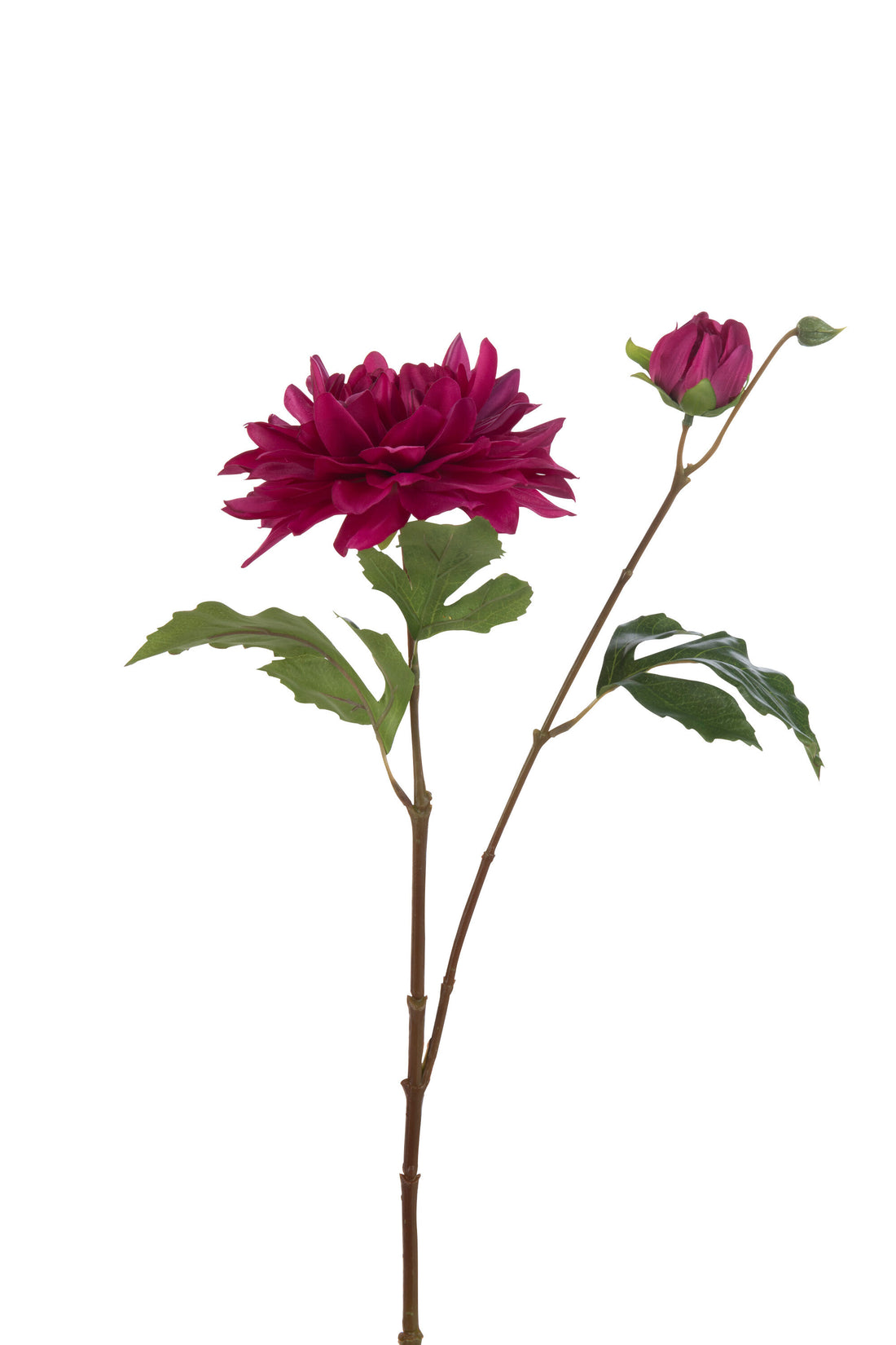 J-Line Dahlia Lauwra Kunststof Fuchsia