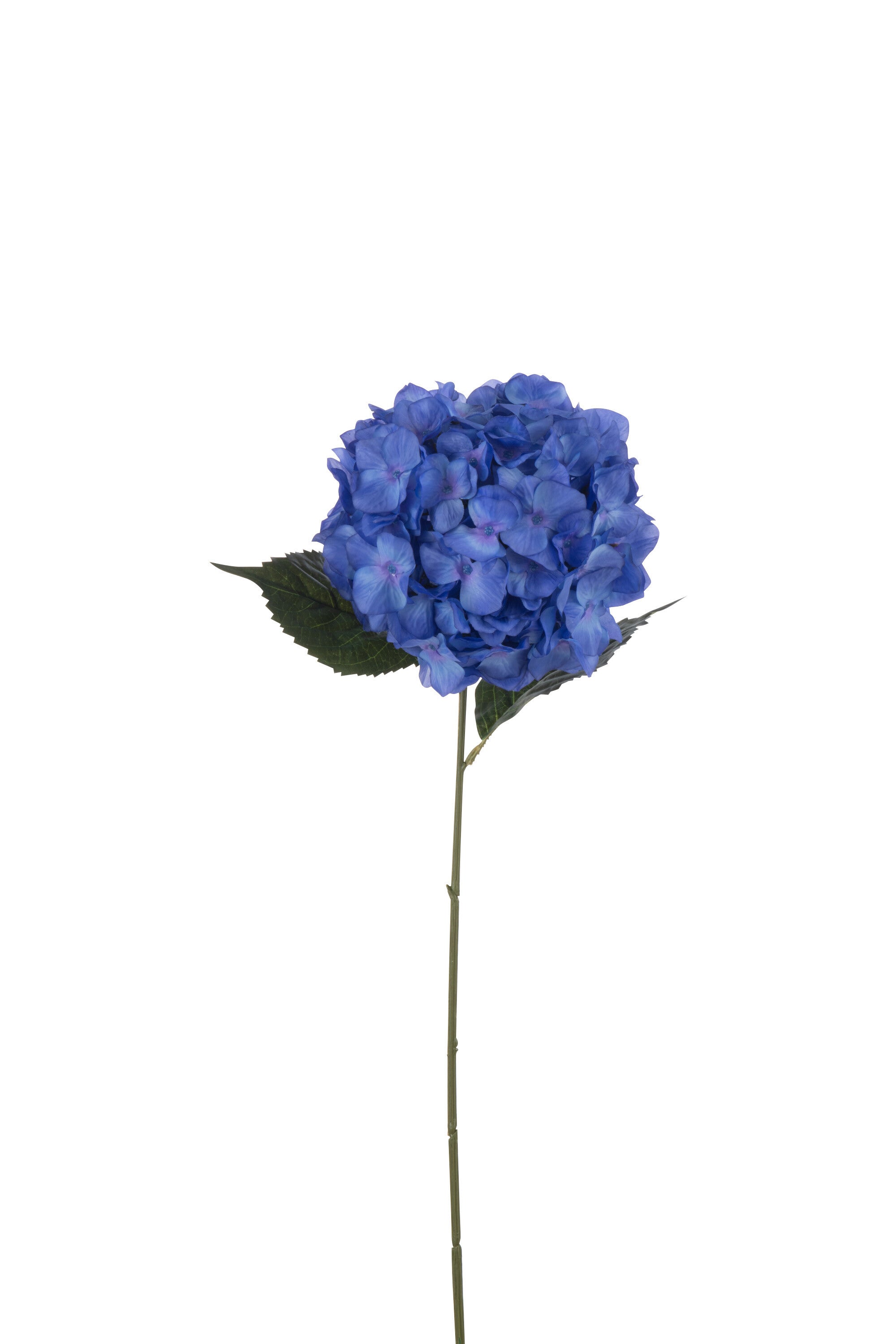 J-Line Hortensia Sproeier Kunststof Blauw