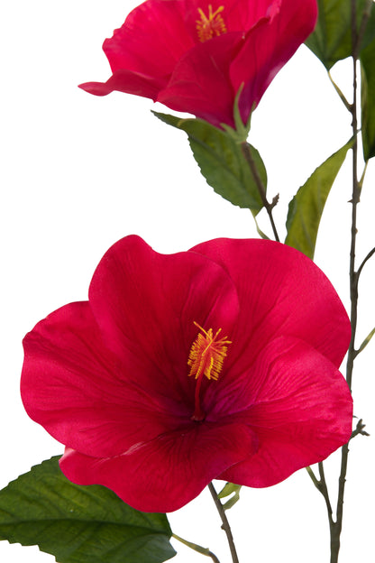 J-Line Hibiscus Sproeier Kunststof Fuchsia