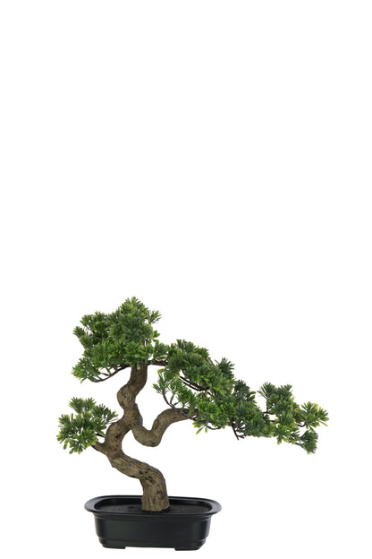 J-Line Podocarpus Bonsai Kunststof Groen Small