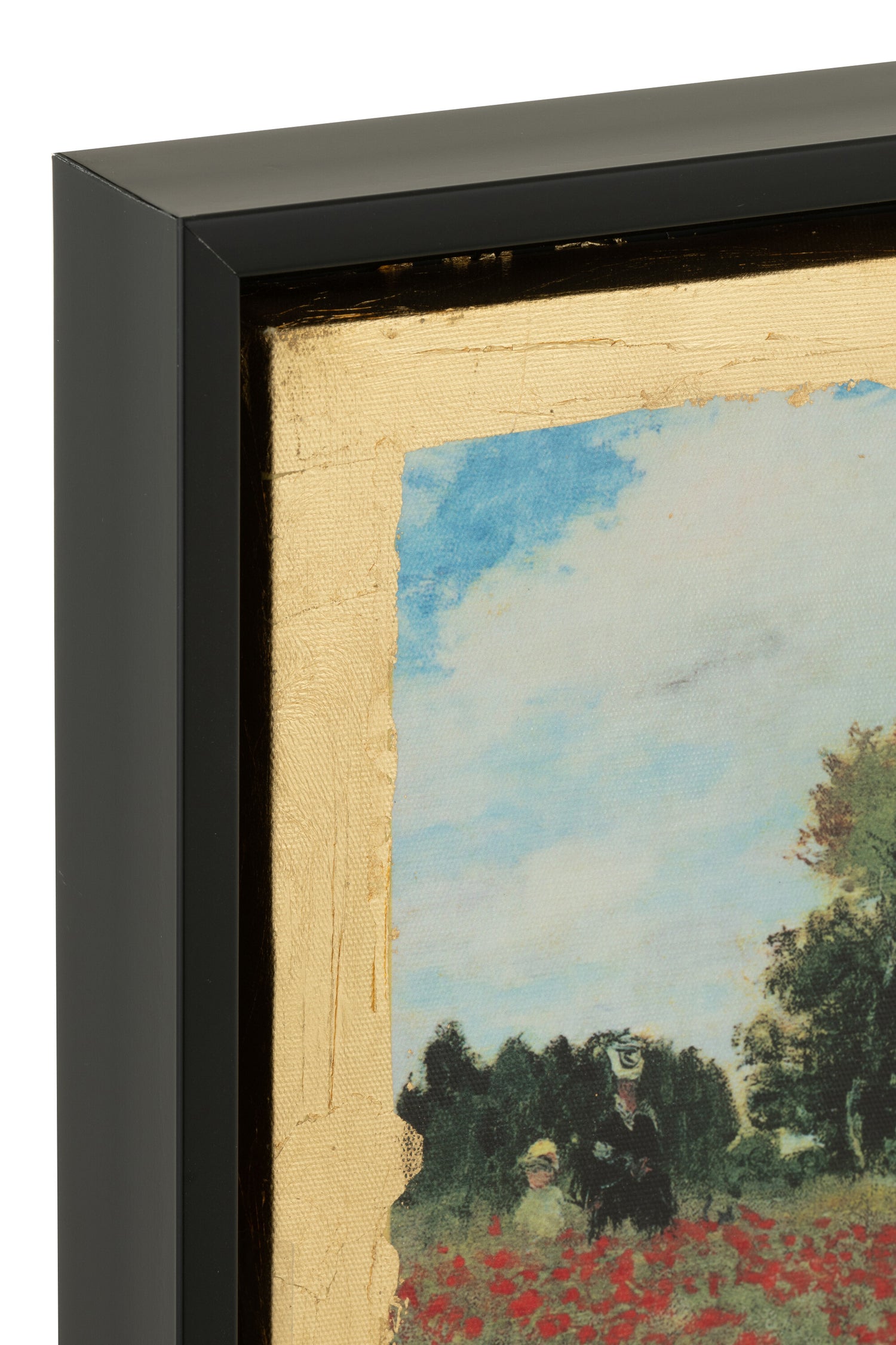 De Chartisten Impressie Geïnspireerd Door Klaprozen