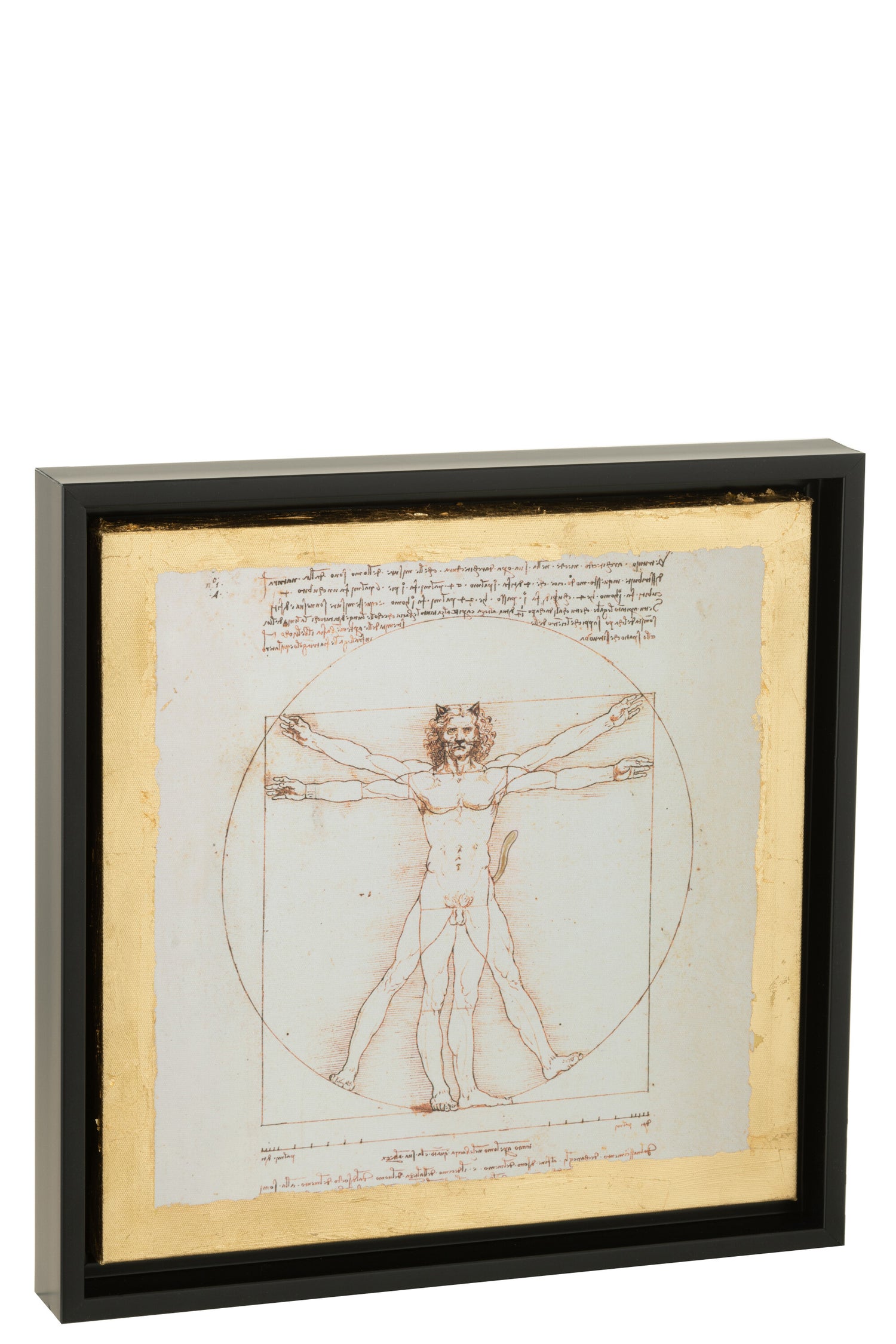 De Chartisten Impressie Geïnspireerd Door de Vitruviusman