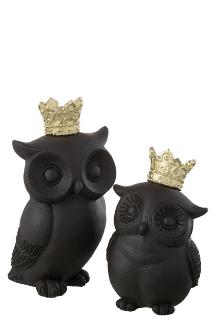 Uilenkroonhars Zwart/Goud Groot