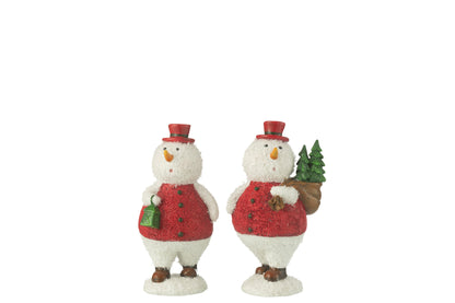 Sneeuwpopboom+lantaarnharsmix medium assortiment van 2