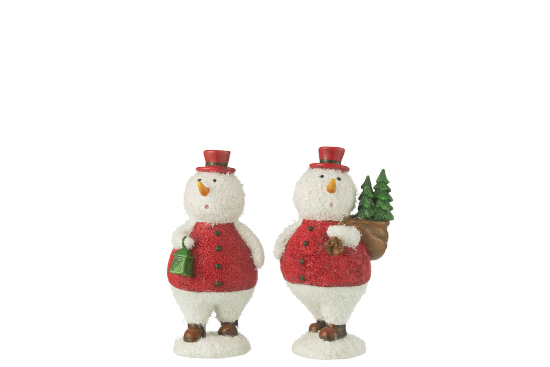 Sneeuwpopboom+lantaarnharsmix medium assortiment van 2