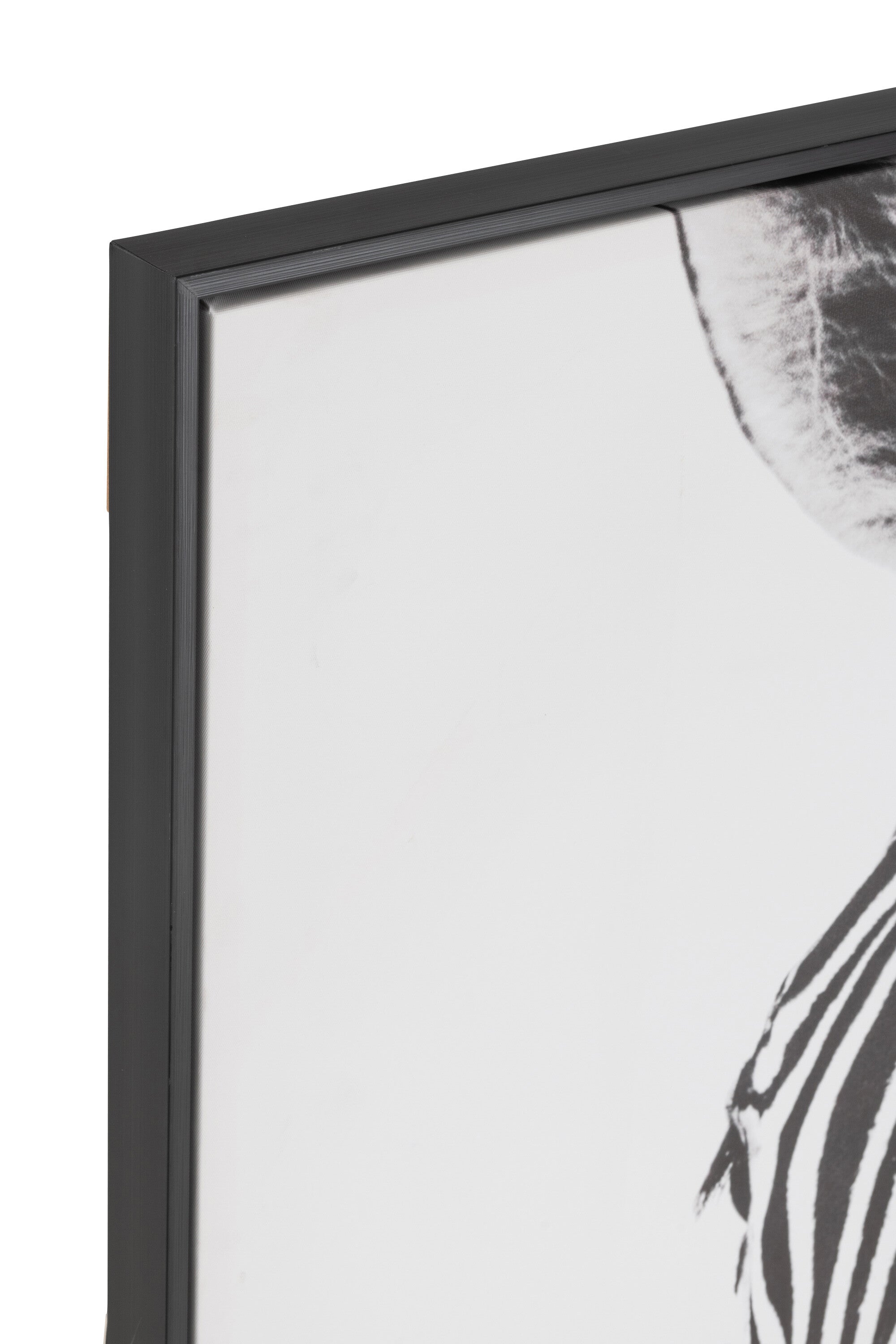 Wanddecoratie Zebra Canvas/Kunststof Zwart/Wit