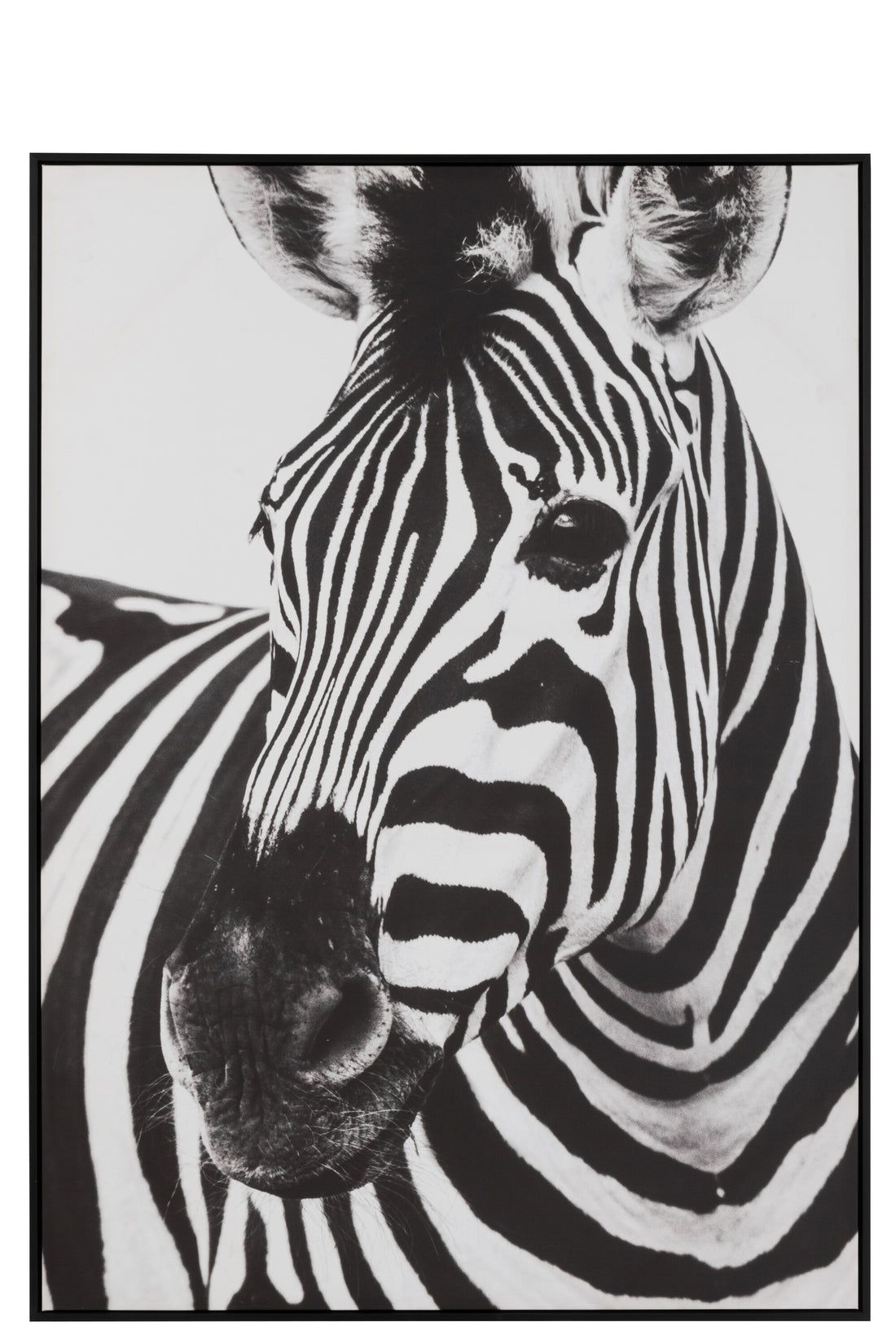 Wanddecoratie Zebra Canvas/Kunststof Zwart/Wit