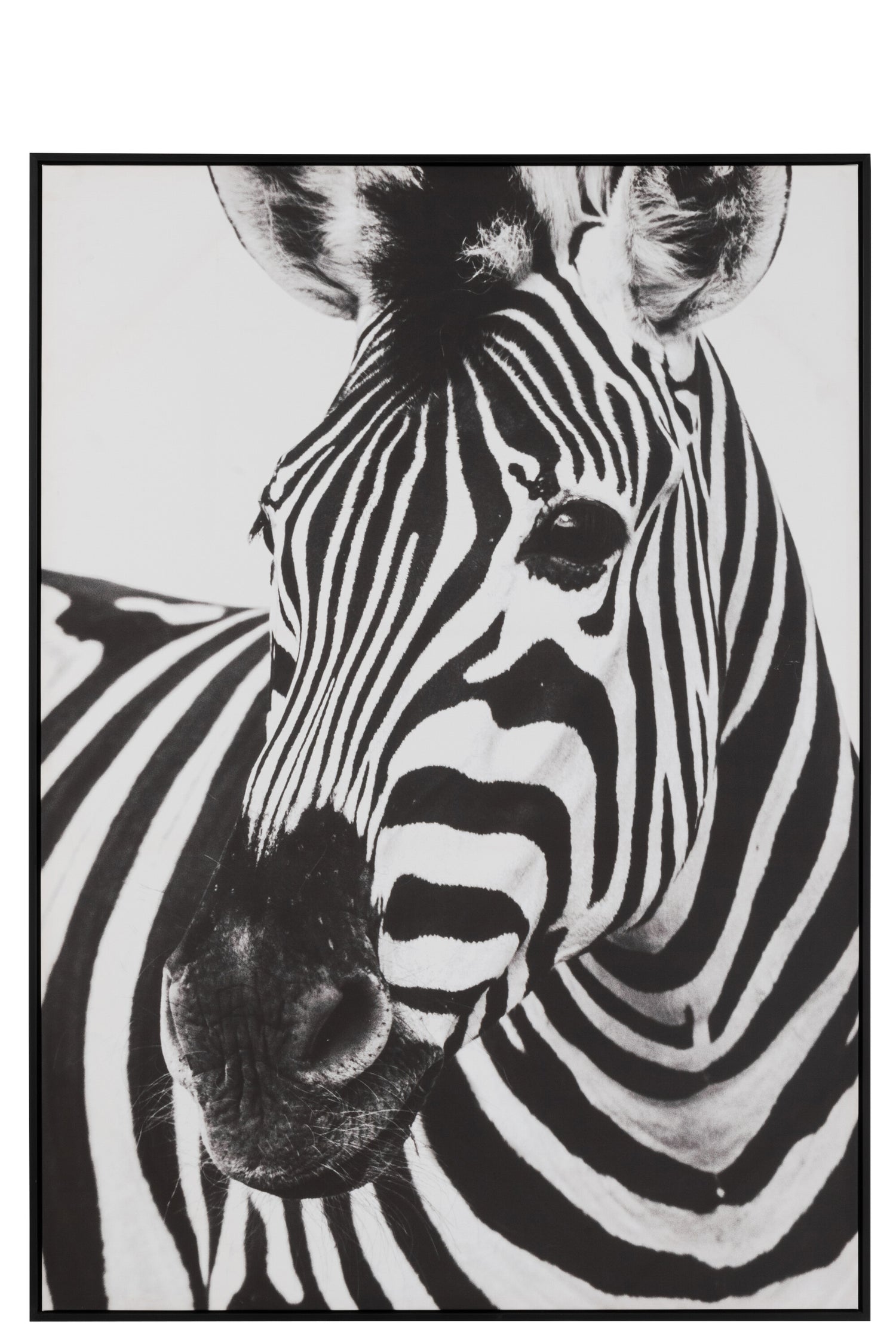 Wanddecoratie Zebra Canvas/Kunststof Zwart/Wit