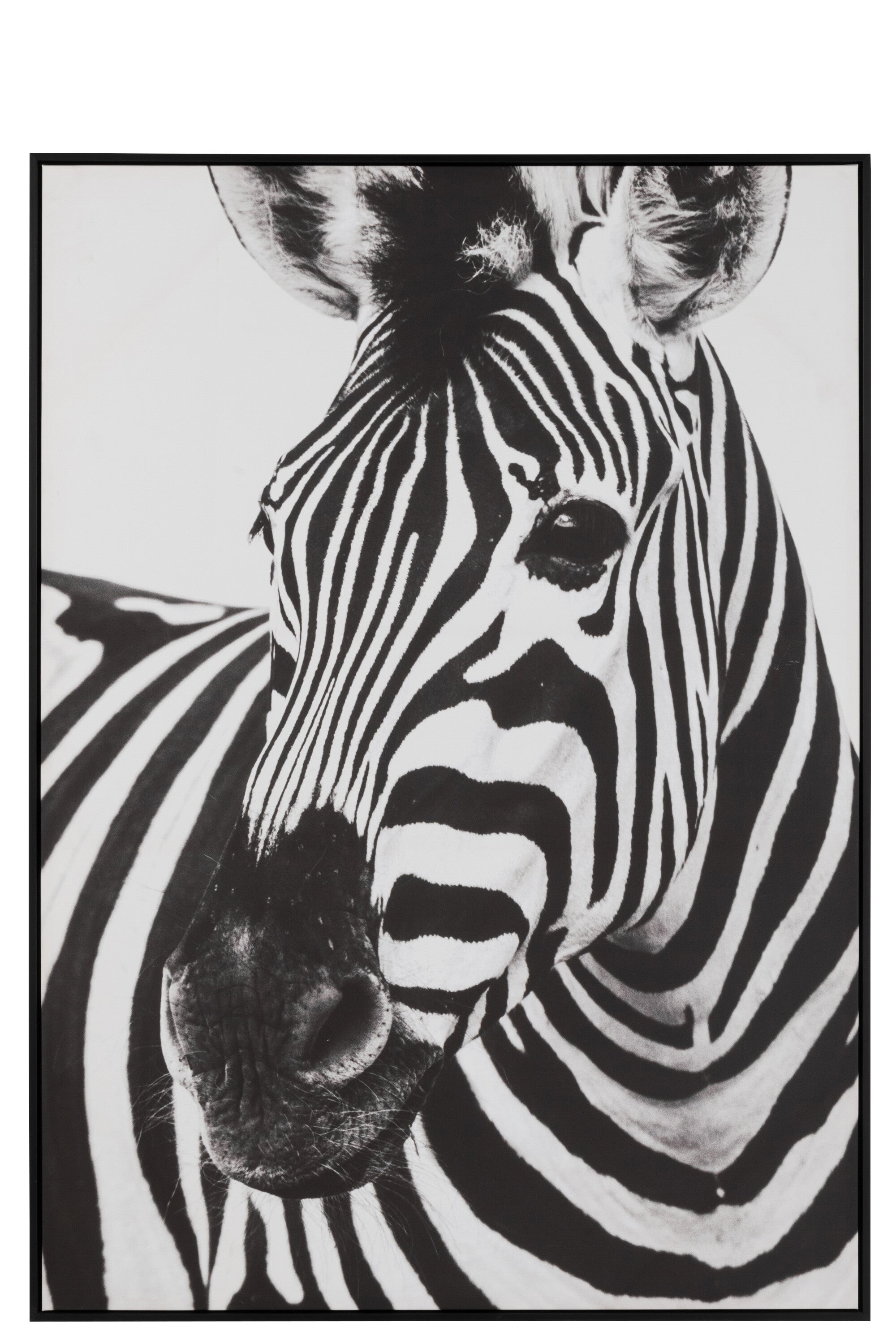 Wanddecoratie Zebra Canvas/Kunststof Zwart/Wit
