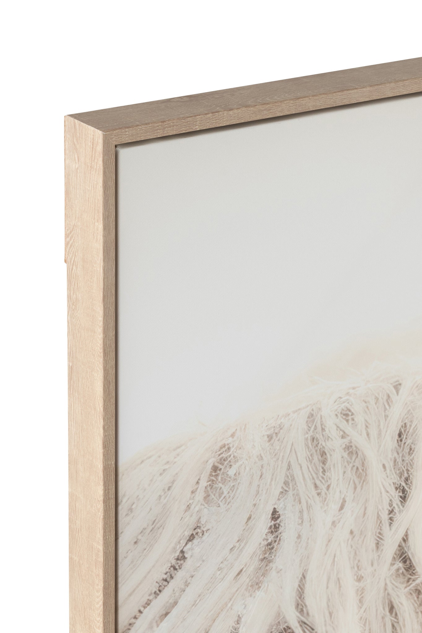Wanddecoratie Yak Gezicht Grenenhout/Polyresin Wit/Beige