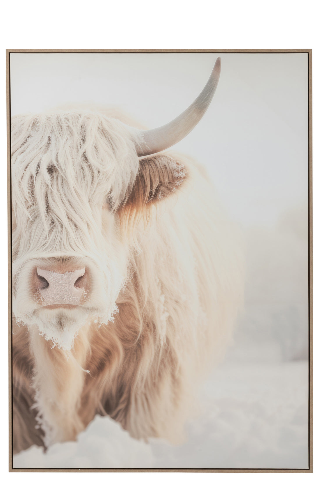 Wanddecoratie Yak Gezicht Grenenhout/Polyresin Wit/Beige