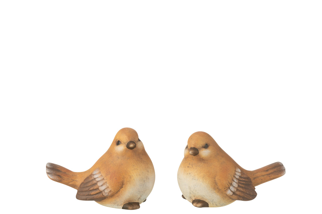 Vogel Porselein Bruin Groot Assortiment Van 2