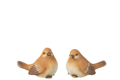 Vogel Porselein Bruin Groot Assortiment Van 2