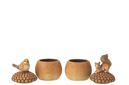 Vogel+Eekhoorn Op Eikel Porselein Bruin Klein Assortiment Van 2