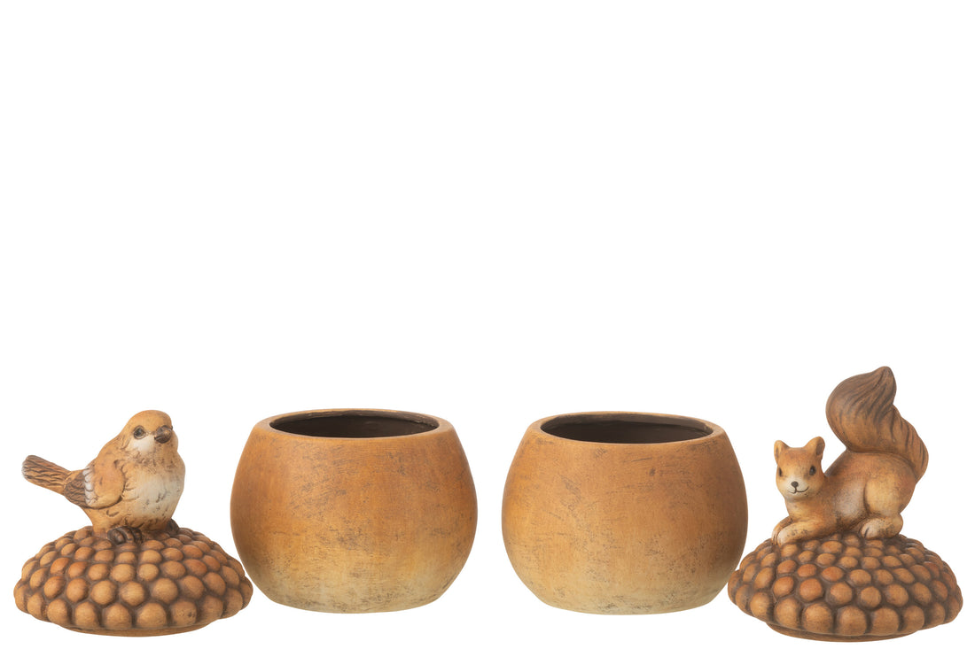 Vogel+Eekhoorn Op Eikel Porselein Bruin Groot Assortiment Van 2