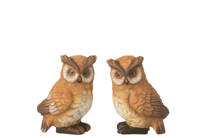 Uilenporselein Bruin Groot Assortiment Van 2